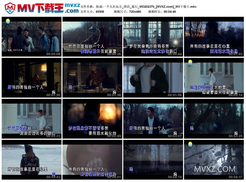 徐成-一个人在远方_国语_流行_MD202370